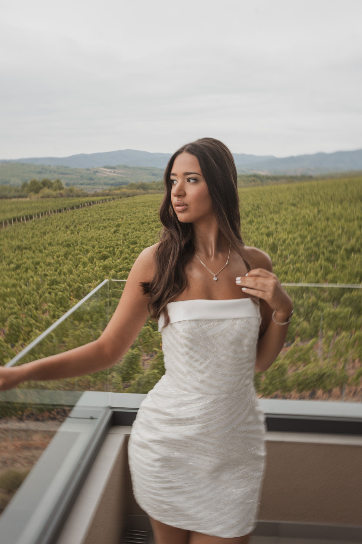 profesionalno snimanje iz vazduha